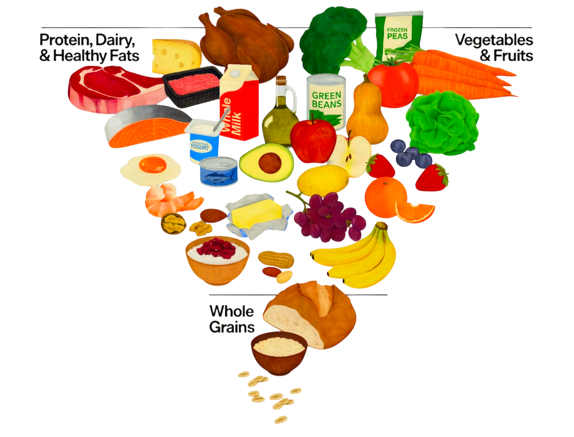 The new inverted US food pyramid showing protein, dairy, healthy fats, vegetables and fruits at the top, with whole grains at the narrow base.